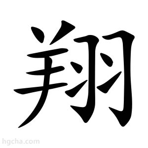 翔的意思名字